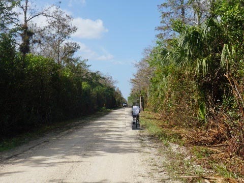 Loop Road Scenic Drive, Everglades