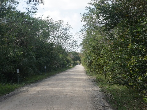 Everglades, Loop Road