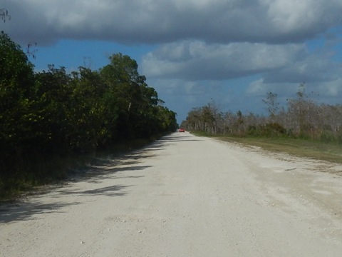Everglades, Old Loop Road