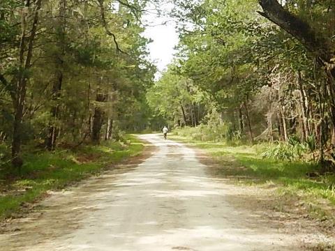 Lower Suwannee Nature Drive, Florida eco-biking