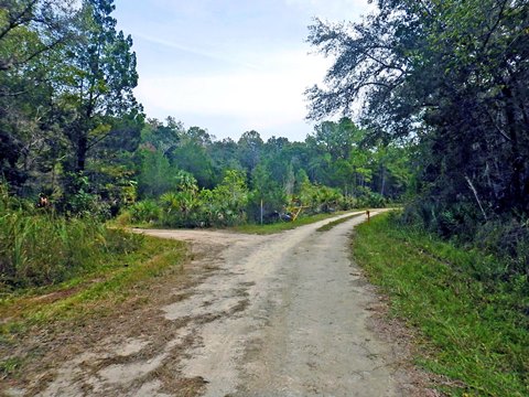Florida Bike Trails, Nature Trail, Lower Suwannee NWR