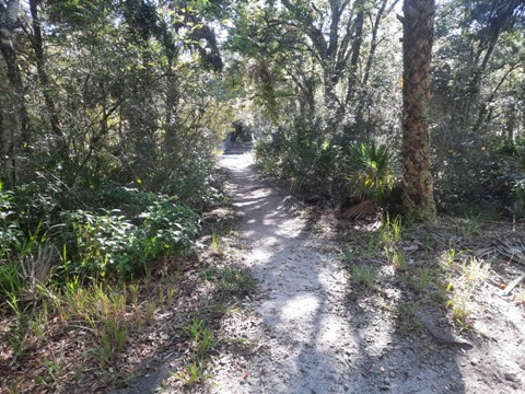 Merritt Island hiking, Oak & Palm Hammock Trails