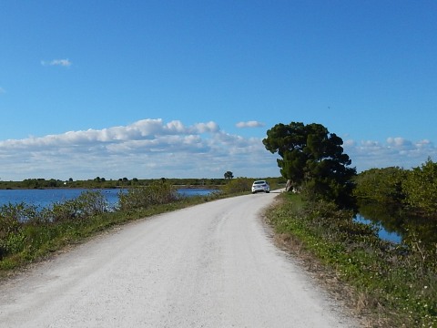 Merritt Island biking, Wildlife Drive