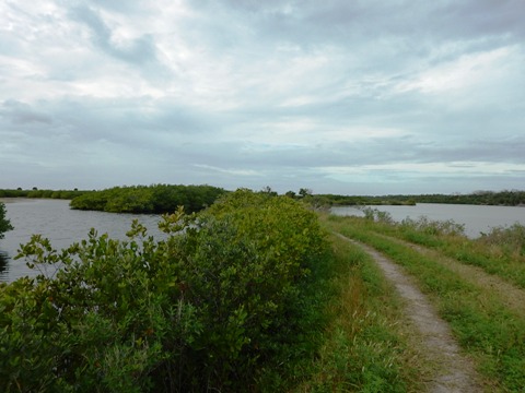 Merritt Island biking-L-Pond Road