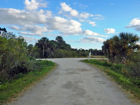 Merritt Island biking-L-Pond Road
