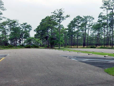 Ochlockonee River State Park, FL Panhandle