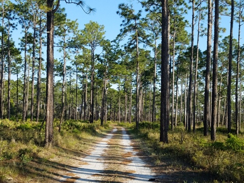 Ochlockonee River State Park, FL Panhandle