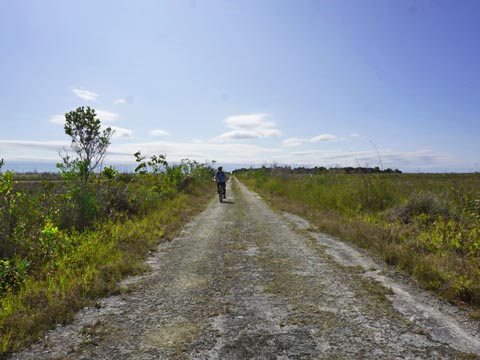 Old Ingraham Highway, Everglades