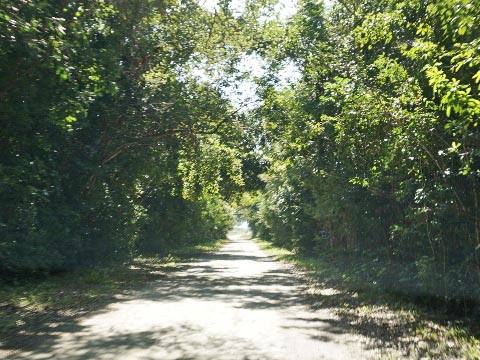 Everglades, Old Ingraham Highway