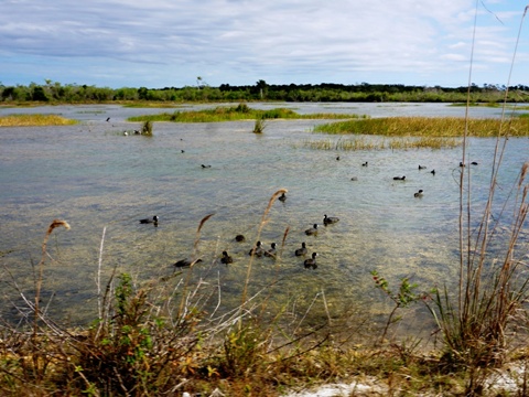 Everglades, Old Ingraham Highway