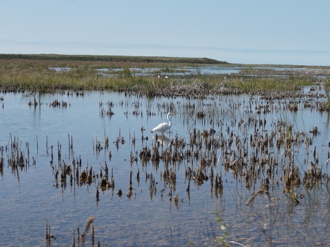 Everglades, Old Ingraham Highway