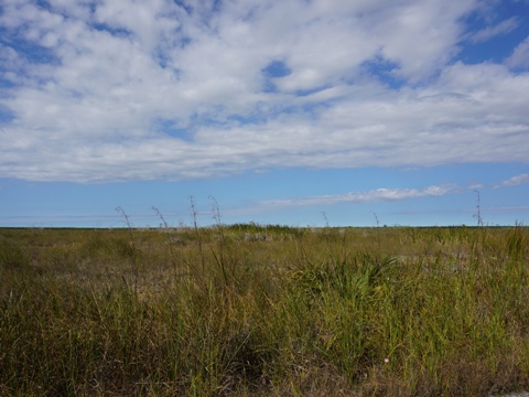 Everglades, Old Ingraham Highway