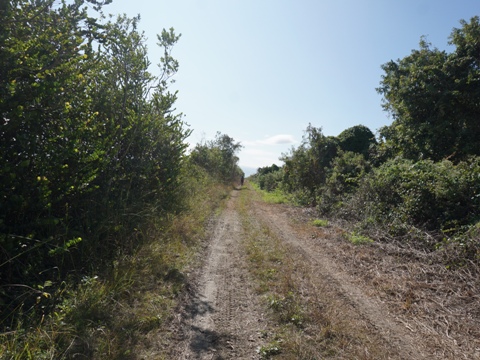 Everglades, Old Ingraham Highway