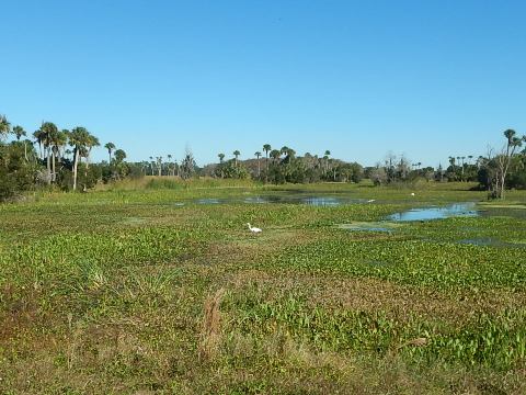 Orlando Wetlands Park