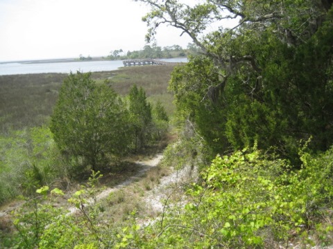 Shell Mound, Florida eco-hiking