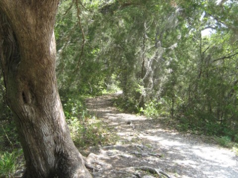 Florida Eco-biking/hiking, Shell Mound