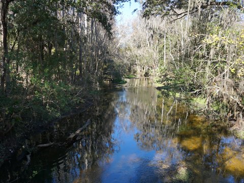 Shingle Creek Management Area