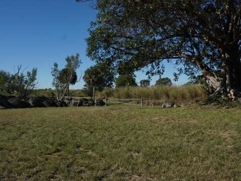 Everglades, Southern Glades Trail