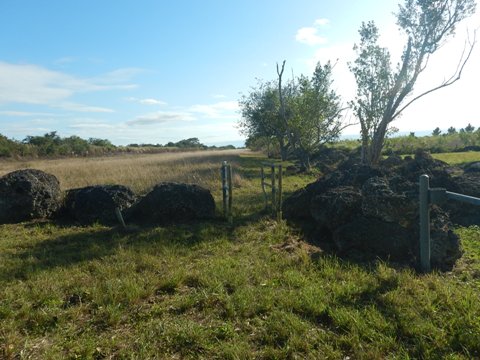 Everglades, Southern Glades Trail