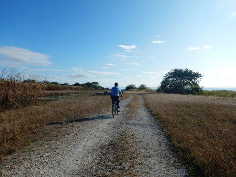 Everglades, Southern Glades Trail