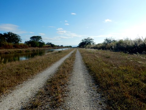 Everglades, Southern Glades Trail