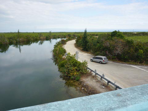 Everglades, Southern Glades Trail