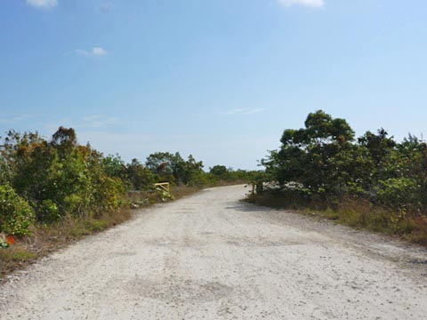 Everglades, Southern Glades Trail