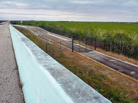 Everglades, Southern Glades Trail