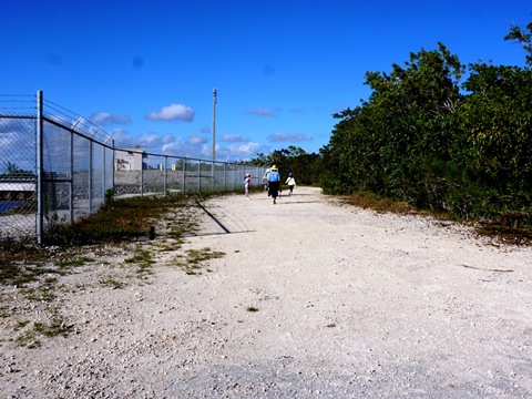 Everglades, Southern Glades Trail