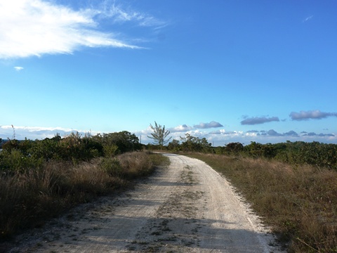 Everglades, Southern Glades Trail