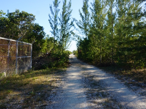 Everglades, Southern Glades Trail