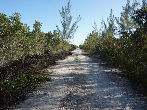 Everglades, Southern Glades Trail