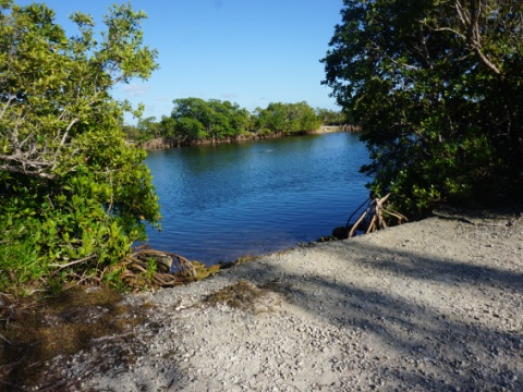 Everglades, Southern Glades Trail