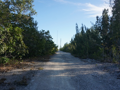 Everglades, Southern Glades Trail