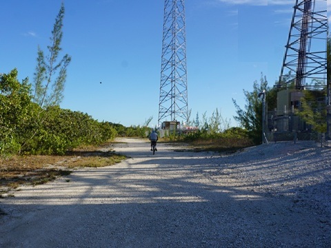 Everglades, Southern Glades Trail