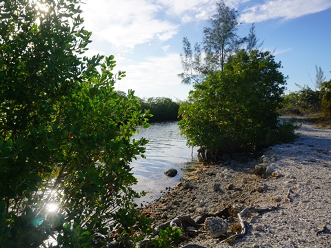 Everglades, Southern Glades Trail