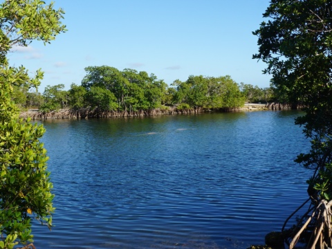 Everglades, Southern Glades Trail