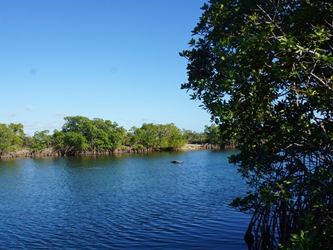 Everglades, Southern Glades Trail