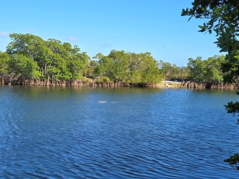 Everglades, Southern Glades Trail