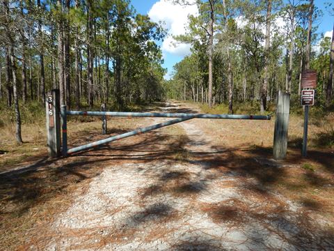 Otter Lake Recreation Area, FL Panhandle