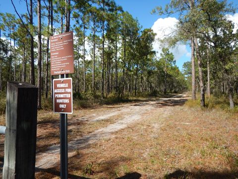 Otter Lake Recreation Area, FL Panhandle