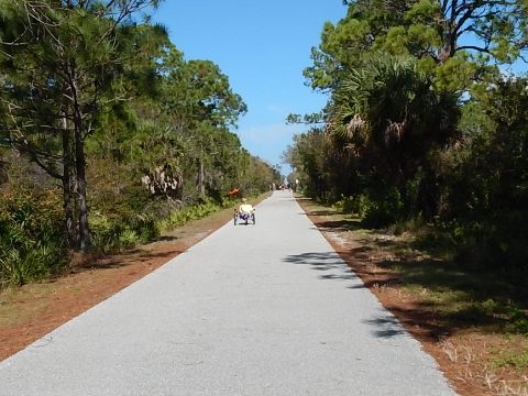 Legacy Trail, Venice to Sarasota, FL biking