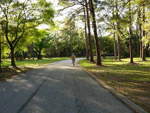 Florida Bike Trails, Pinellas Trail, East Lake Road