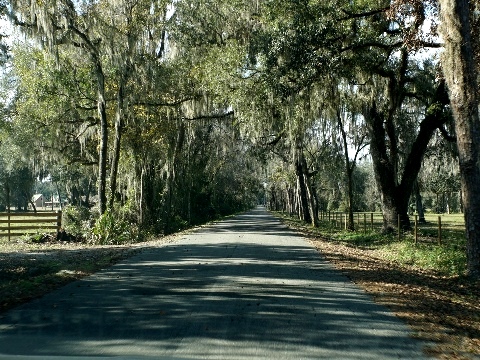 Florida Coast to Coast Trail, SR 50 Connector Trail