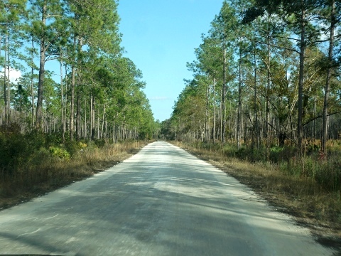 Florida Coast to Coast Trail, SR 50 Connector Trail