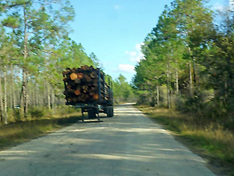 Florida Coast to Coast Trail, SR 50 Connector Trail