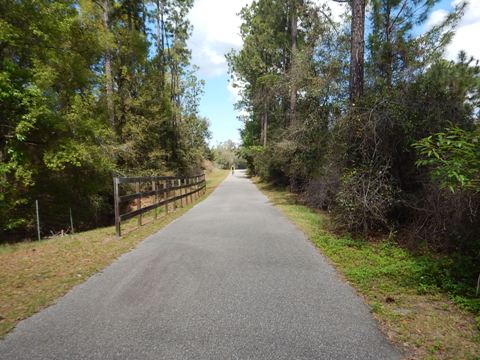 Spring-to-Spring Trail, Volusia County, Blue Spring State Park to Lake Beresford Park, bike Central Florida