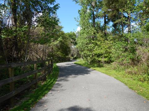 Spring-to-Spring Trail, bike Volusia County, Lake Beresford Park Trails Loop