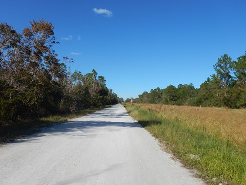 Trans-Florida Central Railroad Trail