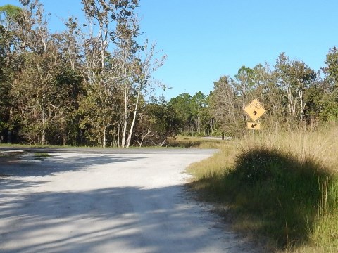 Trans-Florida Central Railroad Trail